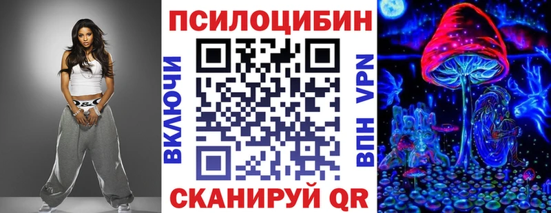Галлюциногенные грибы Psilocybe купить наркотики сайты Болхов